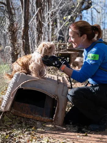 OK Multi-Species Cruelty Rescue