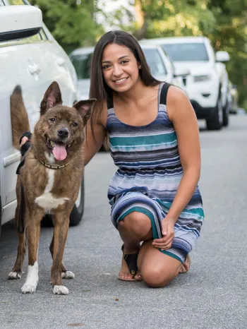 dog standing next to car with woman