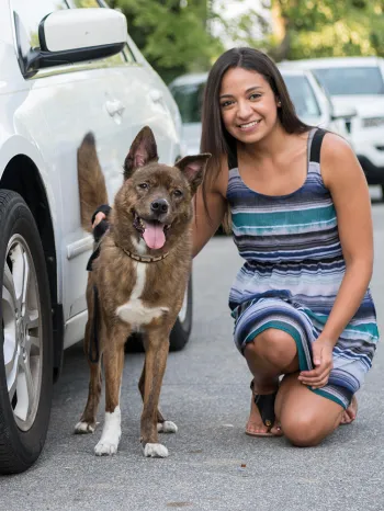 dog standing next to car with woman