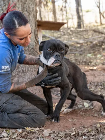 Animal Rescue Team in Oklahoma