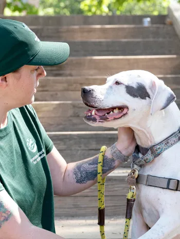 Humane World for Animals staff petting dog