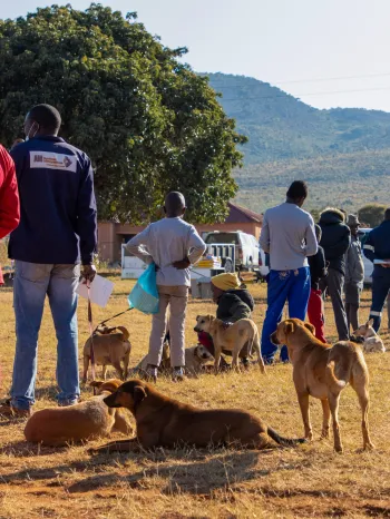 HALO Outreach in GaMoraba, Limpopo Province, South Africa