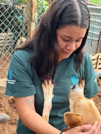 a person holding a baby dog