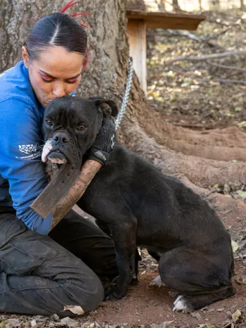 A woman in a blue shirt comforts a black dog outdoors
