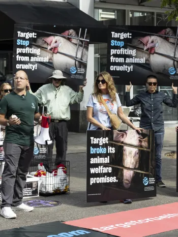 Farm animal confinement Target protest in Minneapolis