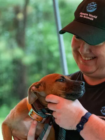 a person holding a young dog in their arms