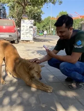 a man sitting on the sidewalk with a dog