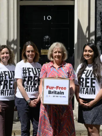 Fur-Free Britain