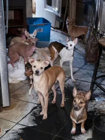 Texas rescue alleged neglect Feb 2026