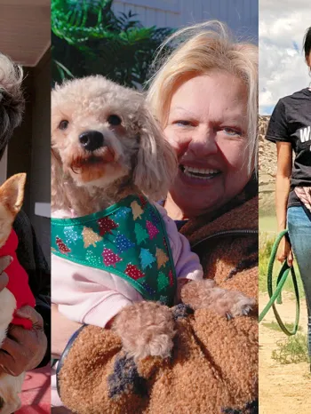 collage with three photos showcasing individuals posing with dogs