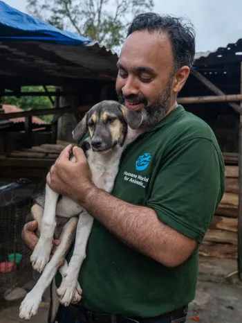 A person wearing a green shirt with a "Humane World for Animals" logo is holding a dog in their arms. 