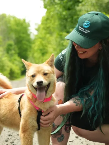 Humane world employee smiling with rescued dog wearing a pink collar