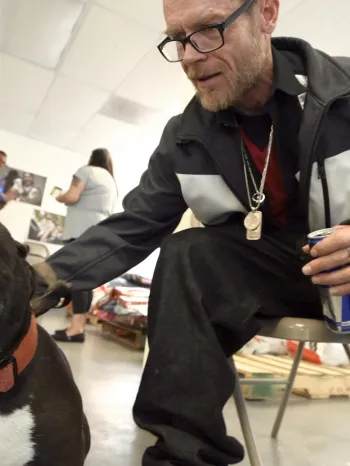 A man is sitting on a chair petting a black and white dog.