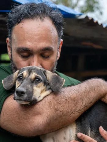 Dog rescued from the dog meat trade in Indonesia