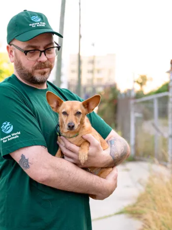 Staff member holding a dog