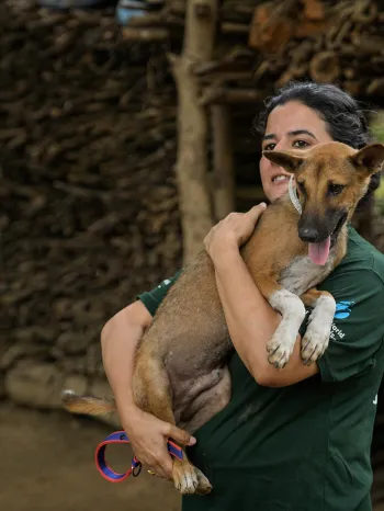 A person smiles while holding a medium-sized brown dog in their arms.