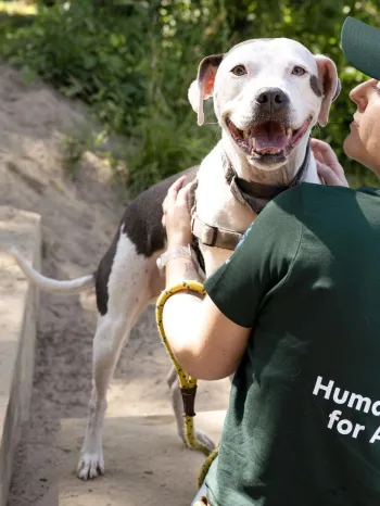 A person holding a white dog 