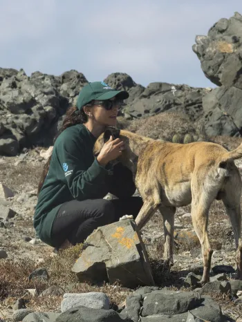 A person crouching down next to a dog.