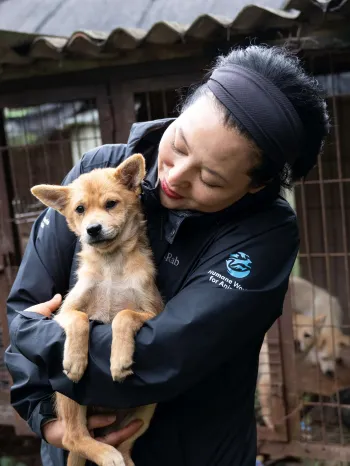 Woman holding a small tan puppy