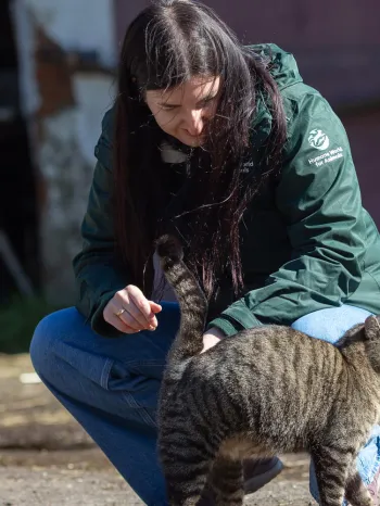 TNR in Deutschland