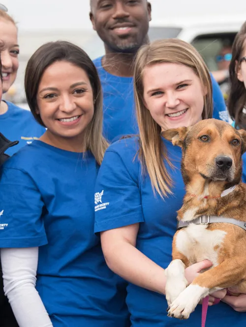 Humane Society of the United States staff at a rescue transport