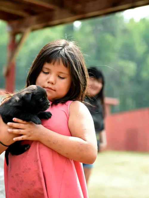 girl holds a puppy