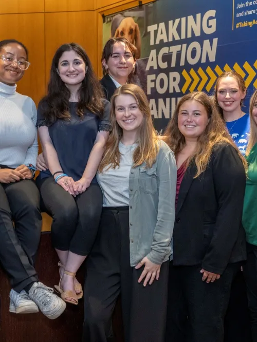 TAFA interns