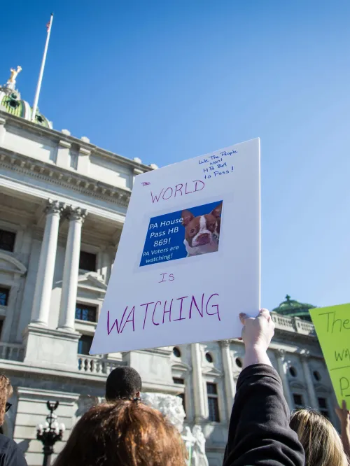 Advocates gather outside Pennsylvania's capitol to show support for stronger animal cruelty laws