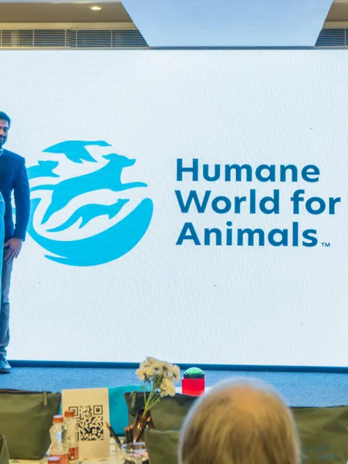Hyderabad brand event