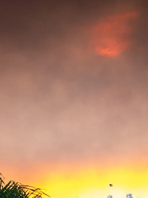 Los Angeles wildfires