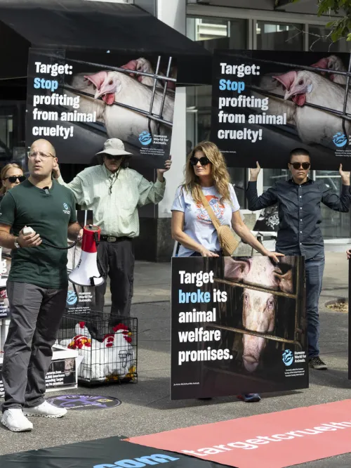 Multiple people protesting with signs