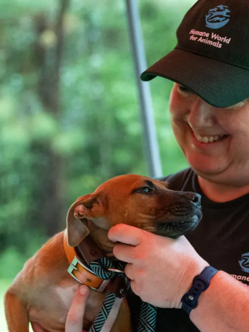 a person holding a young dog in their arms