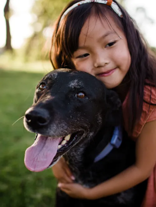 a person holding a dog