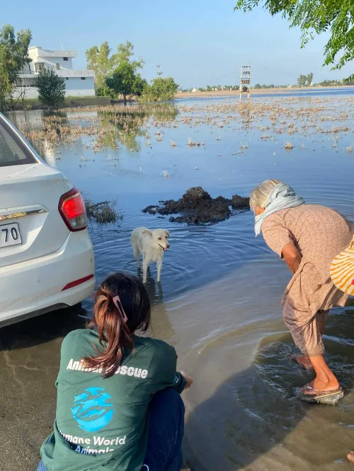 India's disaster response team is providing relief in some of the worst flood-affected regions of Punjab