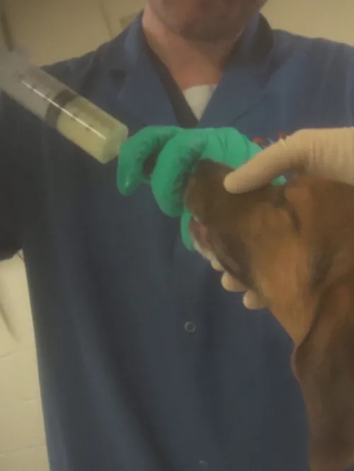 Lab Investigation