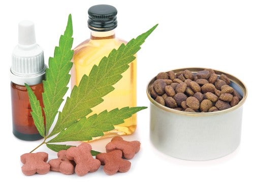 Hemp Seed Powder supplier Hemp Seed Powder supplier