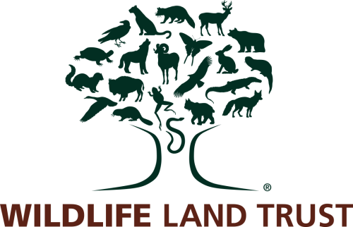 Wildlife Land Trust Humane World for Animals