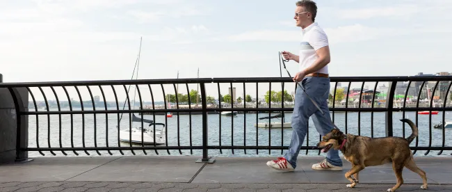 Man walking dog on bridge