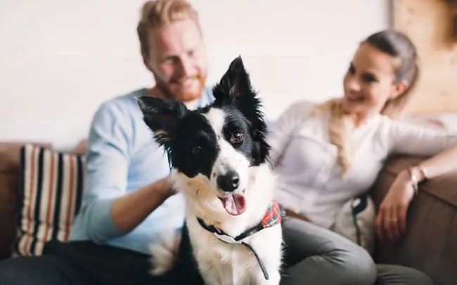 Couple with a dog