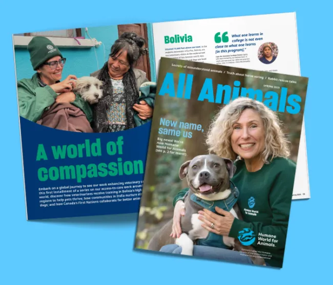 All Animals Spring 2025 issue cover