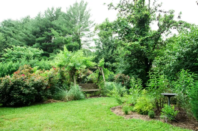 Humane backyard