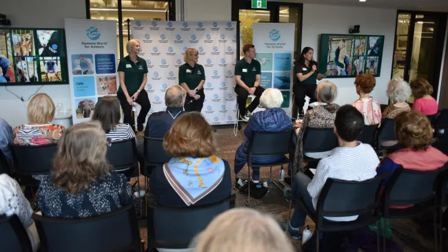 Australia Rebrand Launch Event