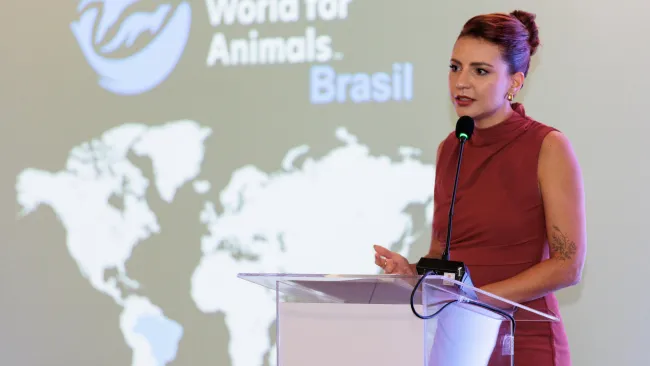 Thayana Oliveira, country director for Humane World for Animals Brazil, gives a presentation at the rebrand launch. 