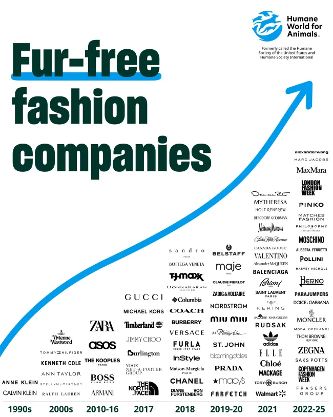 Fur free fashion companies