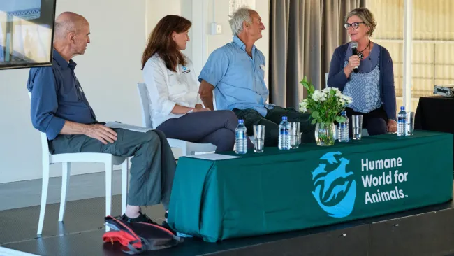 South Africa Brand Launch Event