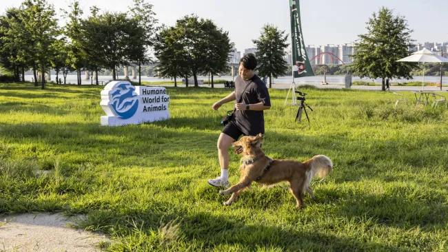 A man running next to a dog in the grass.