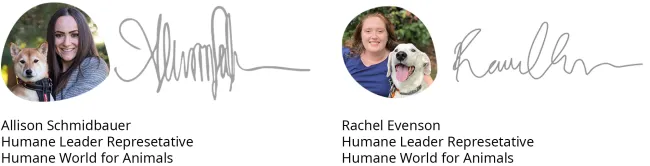 Allison and Rachel with their rescue dogs Mama, Shiba Inu and Dezi, Basset Hound Mix.