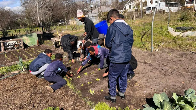 a group of people planting plants