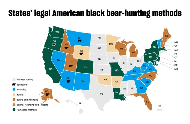 Infographic of the U.S. showing different states' legal black bear-hunting methods