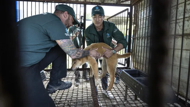A couple of men with a dog